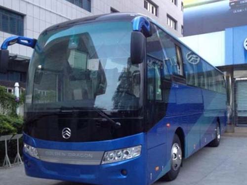 金旅51座