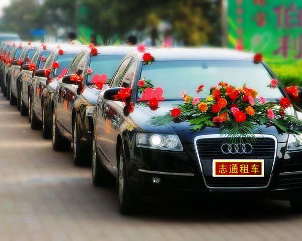奥迪花车
